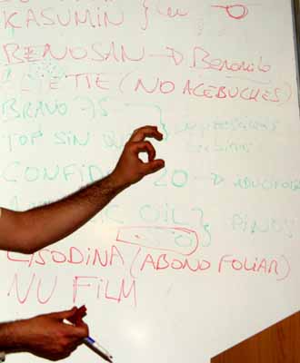 Citando marcas concretas